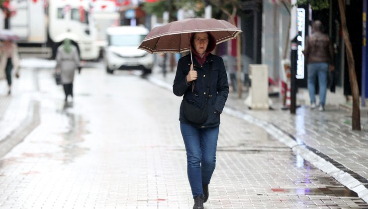 Valilik saat verip uyarmıştı! Ağaçlar devrildi